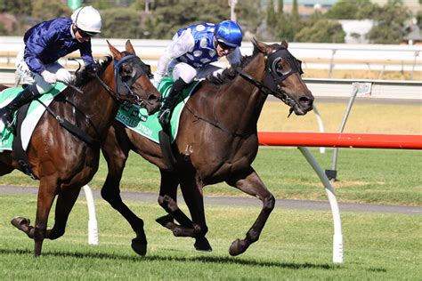 Adelaide Cup Odds 2024 .